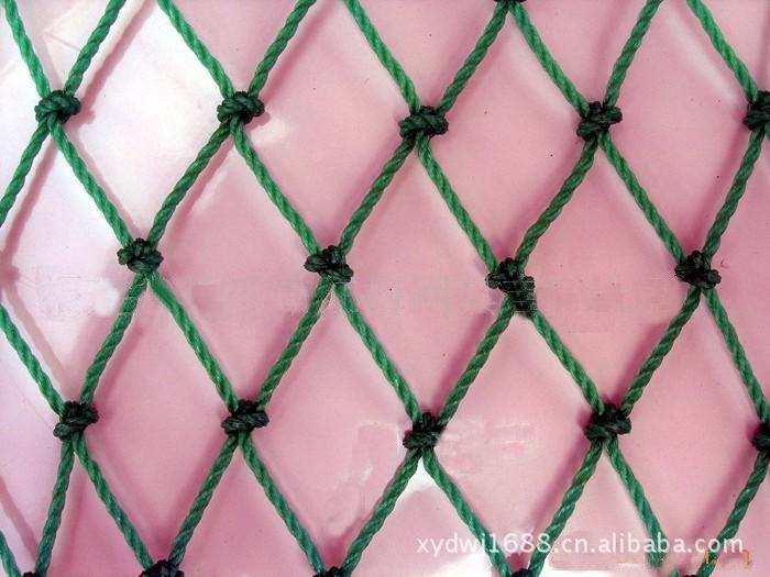 防鳥網具樣品圖