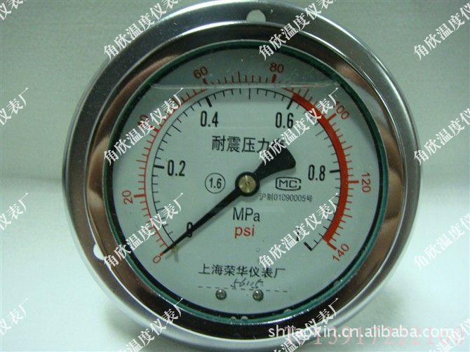 YN100ZT 0-1MPA 轴向带边/不锈钢外壳/耐震压力表/上海荣华