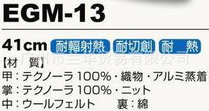 Technora ͷ и ͸ EGM-13