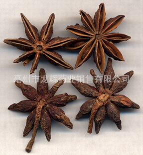 star anise, star aniseed, Chinese star anise  ������˽�