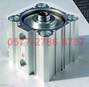 SDA16X5 10 15 20 25 30 35 40 45 50 60 70 80 90 100 WSNS 气缸