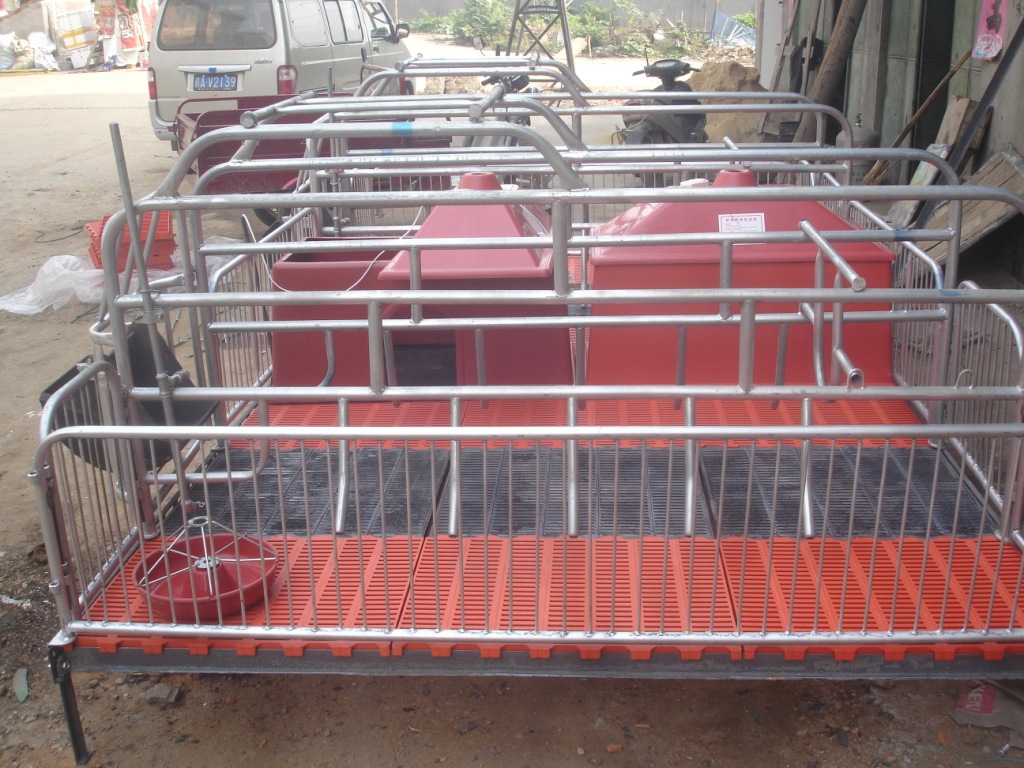 厂家供应复合材料塑料漏粪板湖北湖南福建养猪设备复合漏粪地板畜