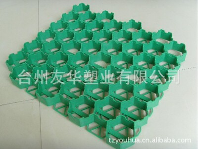 厂家直销 优质高强度抗老化塑胶植草格 消防通道停车场专用