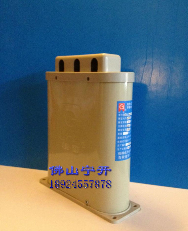 桂容电力电容器BGMJ0.415-20-3       原装正品广东地区总代理