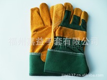 ���Sţ����Ƥ�G���z������