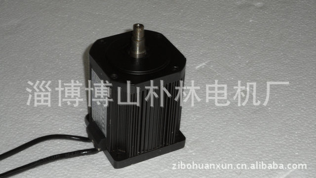 大功率电机 微型直流无刷电机 朴林厂家直流无刷调速电动机马达