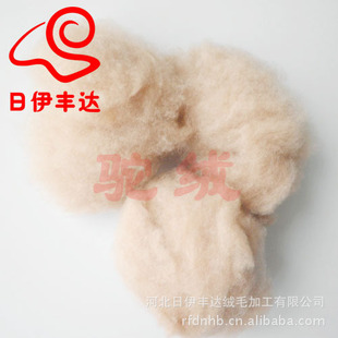 �S�ҬF؛  ������.����̩  �q �����q �����q