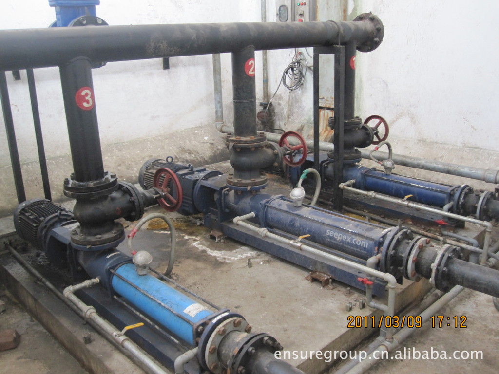 西派克泵Seepex螺杆泵BN200-6L