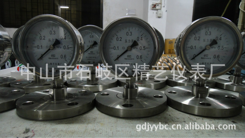 供应法兰连接不锈钢隔膜耐震压力表DN25 YTP-100MF 1MPA工厂直销