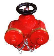 供应多用式地上消防水泵接合器.消防接合器SQD100-1.6