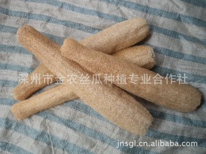 【白丝瓜种植】白丝瓜种植价格\/图片_白丝瓜种