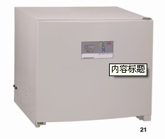 DPX-9162B-1电热恒温培养箱/DPX-9162B-1数显标准型