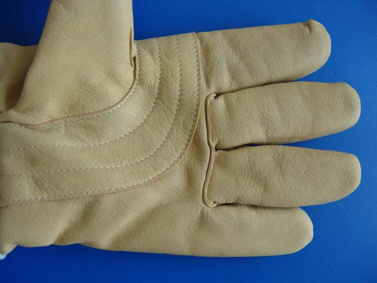 02JT-CG-W02  ţͷƤ 纸ͱ  纸//ĥ/̴