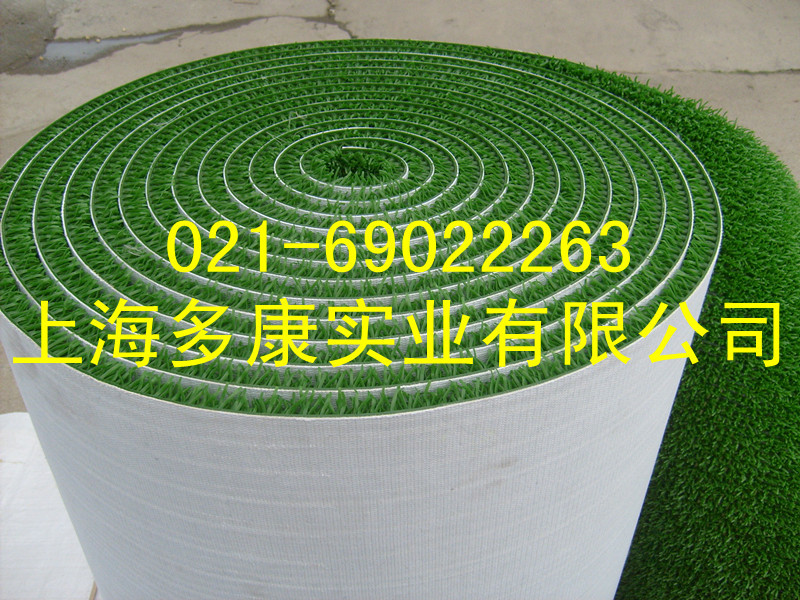 吸金草、捞金草、溜金草