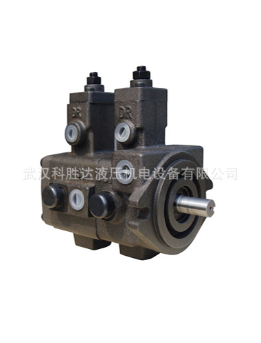 数控液压站油泵VA1A1/VB1B1-1212F/1515F/2020F/-A1A1/A2A2/A3A3