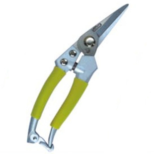 锌合金园艺剪刀修枝剪 厂家批发 直咀摘果剪 花卉剪