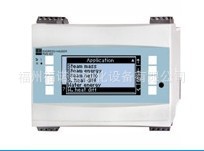 RMS621-22BAA1211	蒸汽热量计算仪