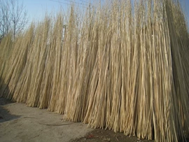 工艺原料;植物工艺品;园艺护栏