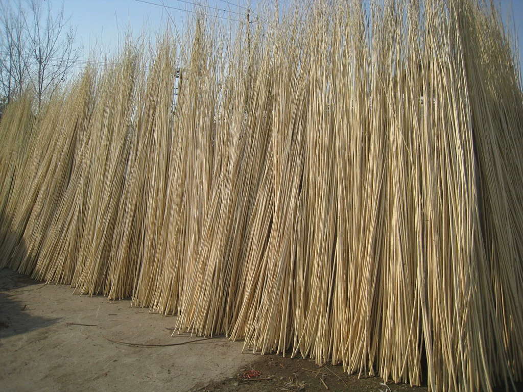 Натуральная ива после высокотемпературной карбонизации сырья различных размеров ивы белого садового забора