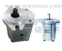 CBK1025-B2FL,CBK1025-A1FL油泵