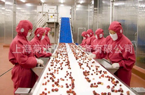 食品级输送带，食品级PU输送带，饼干输送带，雪饼输送带