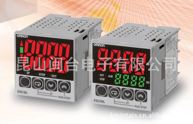 OMRON E5CWL-R1P  
