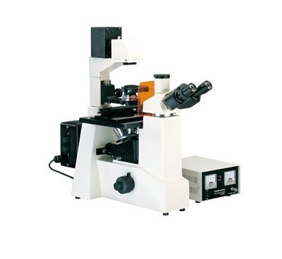 倒置荧光显微镜_供应 荧光显微镜 倒置荧光显