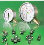 意大利MCS压力表