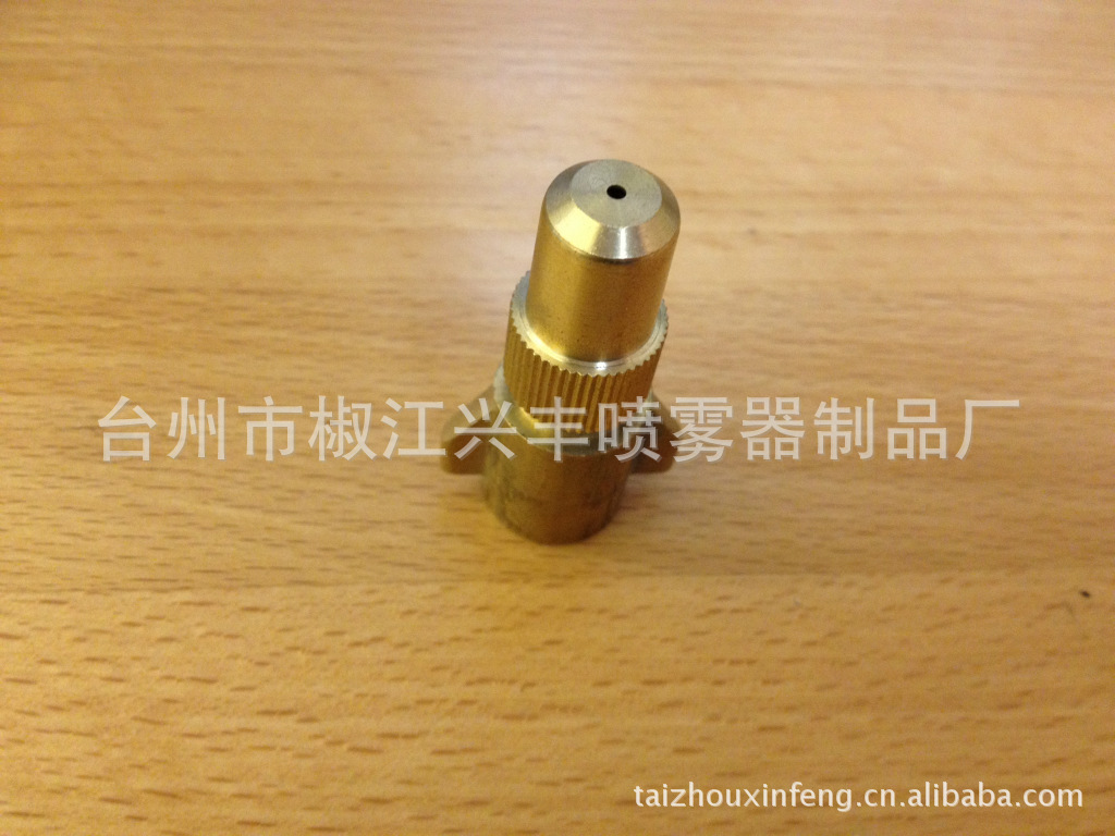 ptt-38  飞机喷枪 （全铜）喷雾器配件喷头 高压铜喷枪