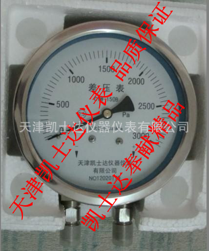 CYW-153B差压表，CYW-153B不锈钢差压表，CYW-153B耐震差压表