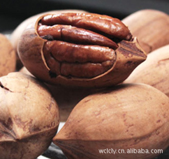 Great circle Pecan Longevity fruit Manufactor Direct selling 10 Jin/Box
