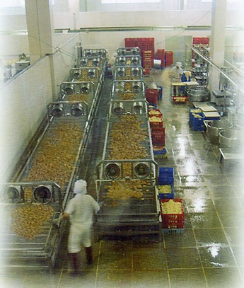 全自动豆腐干加工生产线成套设备