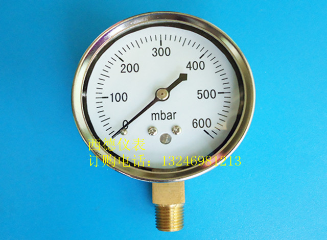 60MM径向0－600毫巴（mbar）压力表 毫巴表 微压计 燃气压力表