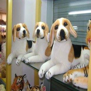 �������N���湷����Ȯ����������ë�q���
