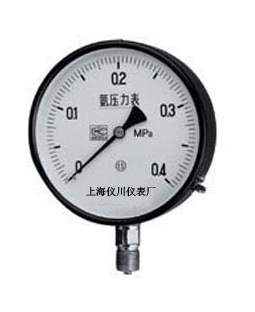 YXChK100抗震磁簧电接点