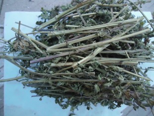 �½� �����m