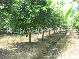 ���l18���ִ��~�š��S��䡢�L���䡢���^�䡢�е���