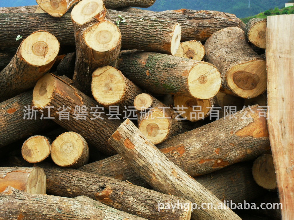吉木5x3x1CM樟木片10片装香樟木块香樟木条防虫防蛀香薰条-阿里巴巴