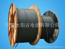 西北地區寧夏內蒙陝西山西特種電纜 異型電纜 硅橡膠電纜