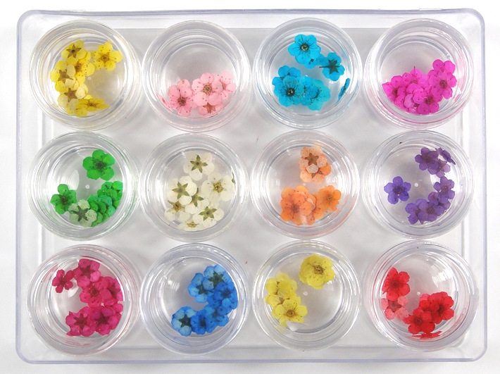 Nail supplies wholesale small dried five -petal flower plant flower…