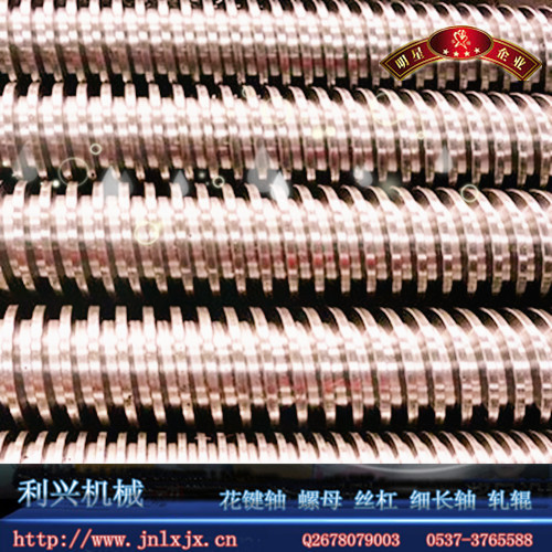 利兴生产加工镀铬丝杠/发黑丝杆/淬火梯形丝杆螺母配套/大型丝杠