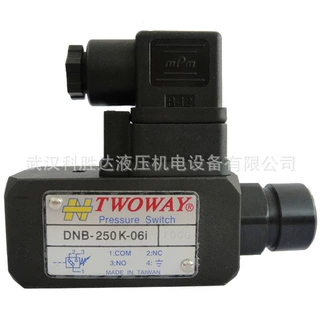 压力继电器TWOWAY/DNB-250K-06i台肯压力继电器