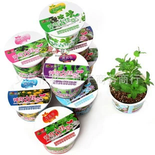 Прямая поставка может быть настроен по индивидуальному заказу и оптовая продажа миниатюрных растений. Растения своими руками (волшебная и странная трава. 8 стилей).