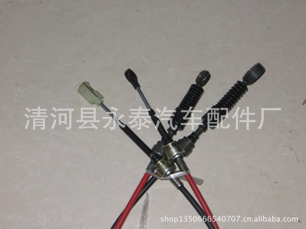 照片 165