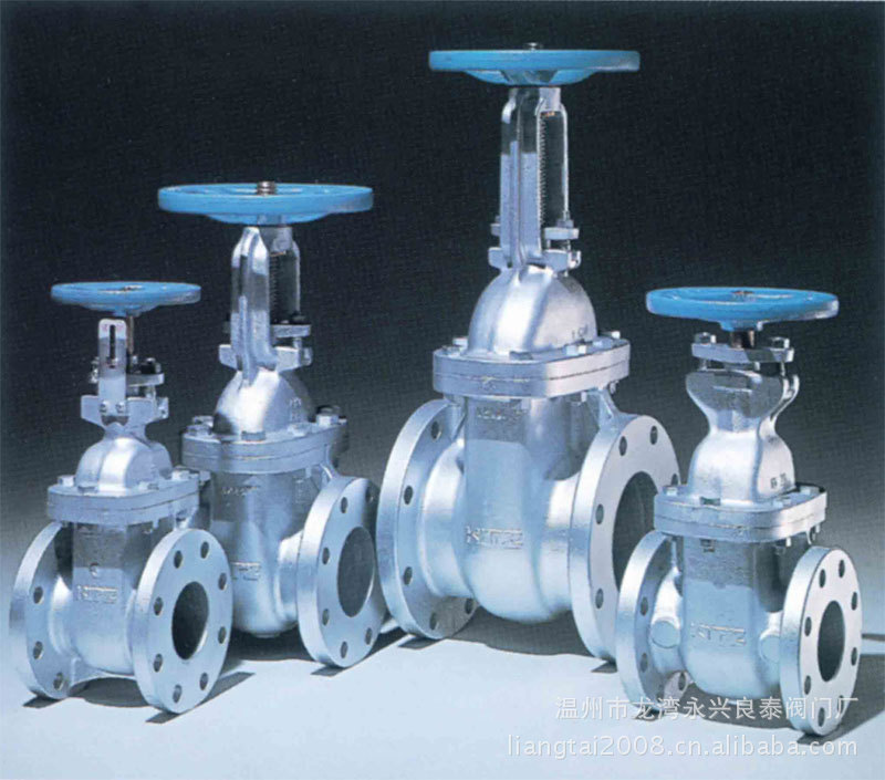 厂家直供；316闸阀DN40