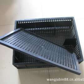 养殖箱/塑料养殖箱/鲍鱼箱385*292*113