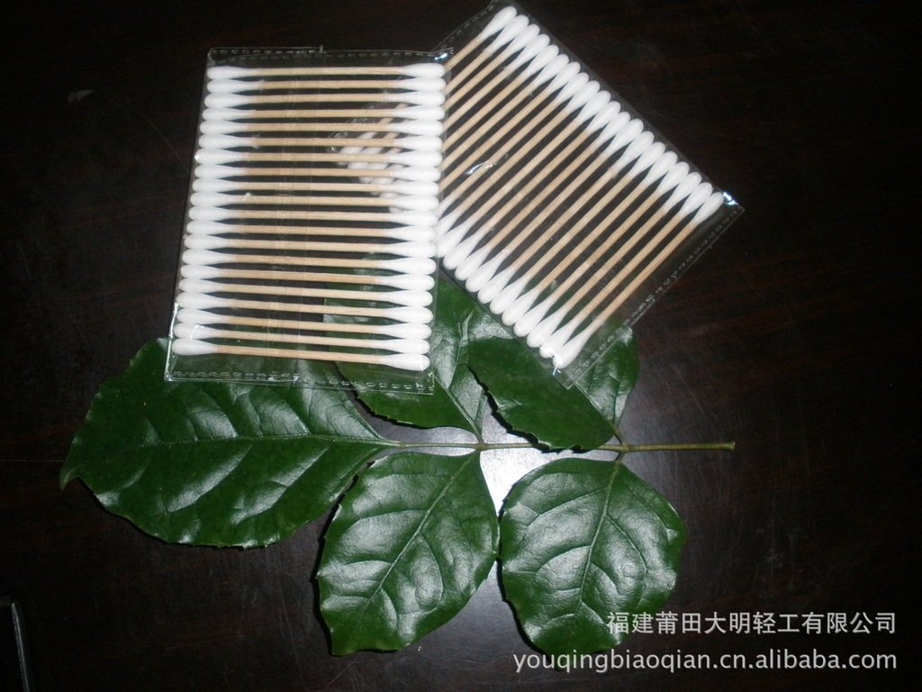 P8300290