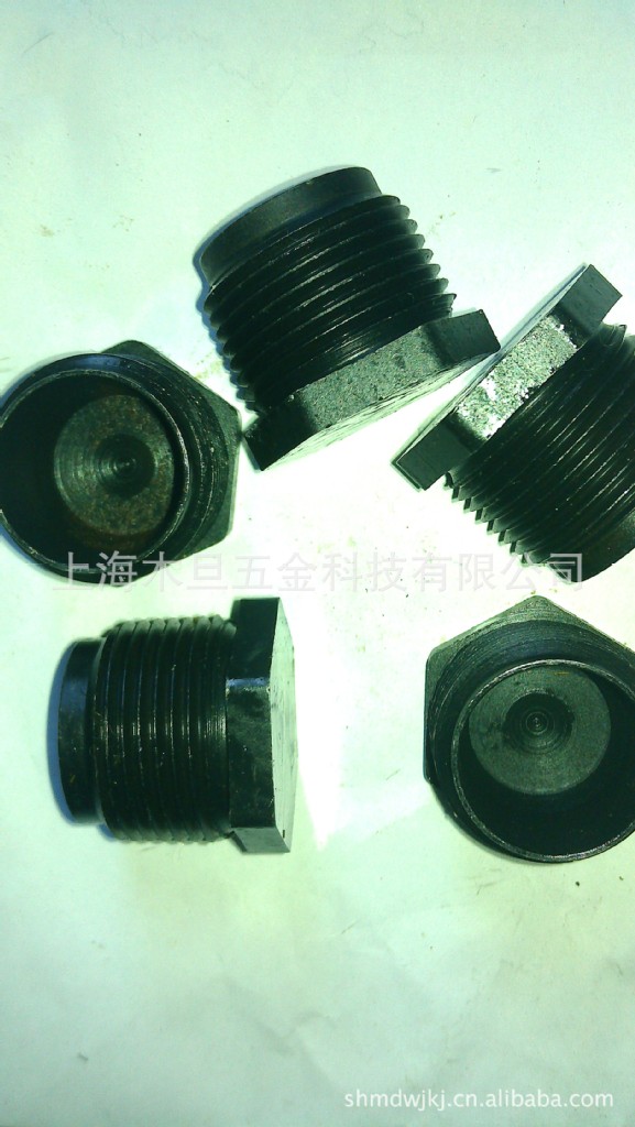 厂家供应电热水器用牺牲阳极镁棒铁螺丝接头铁堵头专用耐用