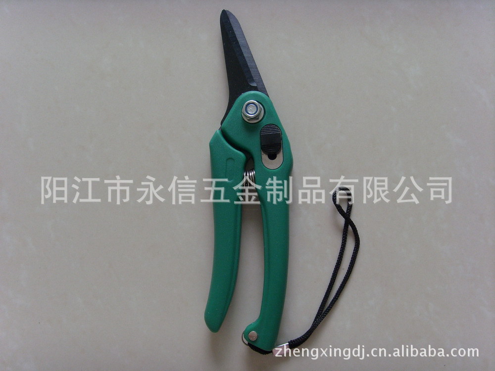 发黑剪切修枝钳子直咀花园园林剪枝剪嫩芽剪刀