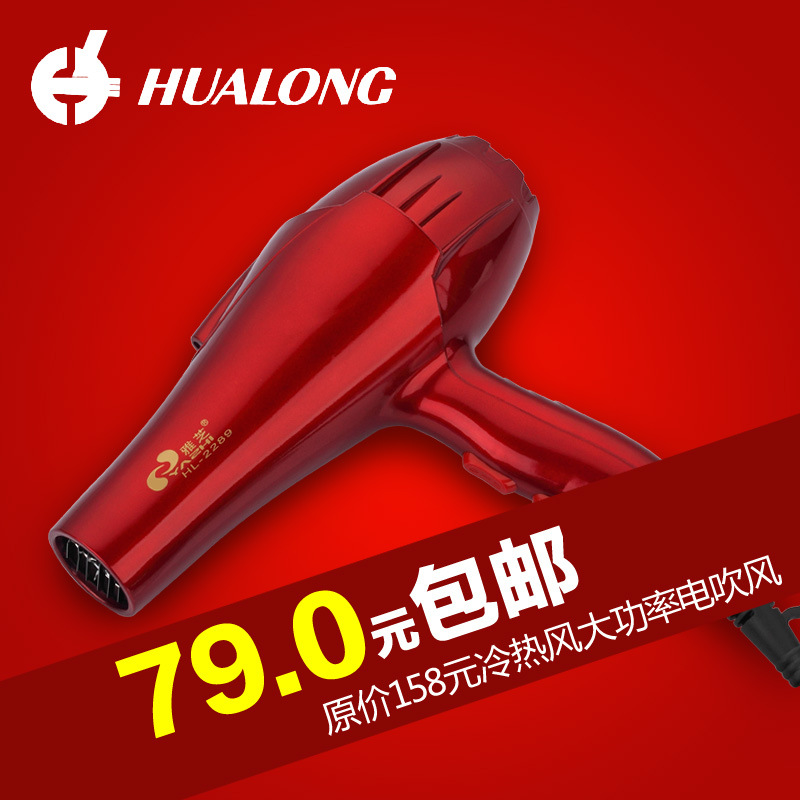 雅芝HL2289电吹风静音大功率家用冷热风专业吹风机交流电机|ms